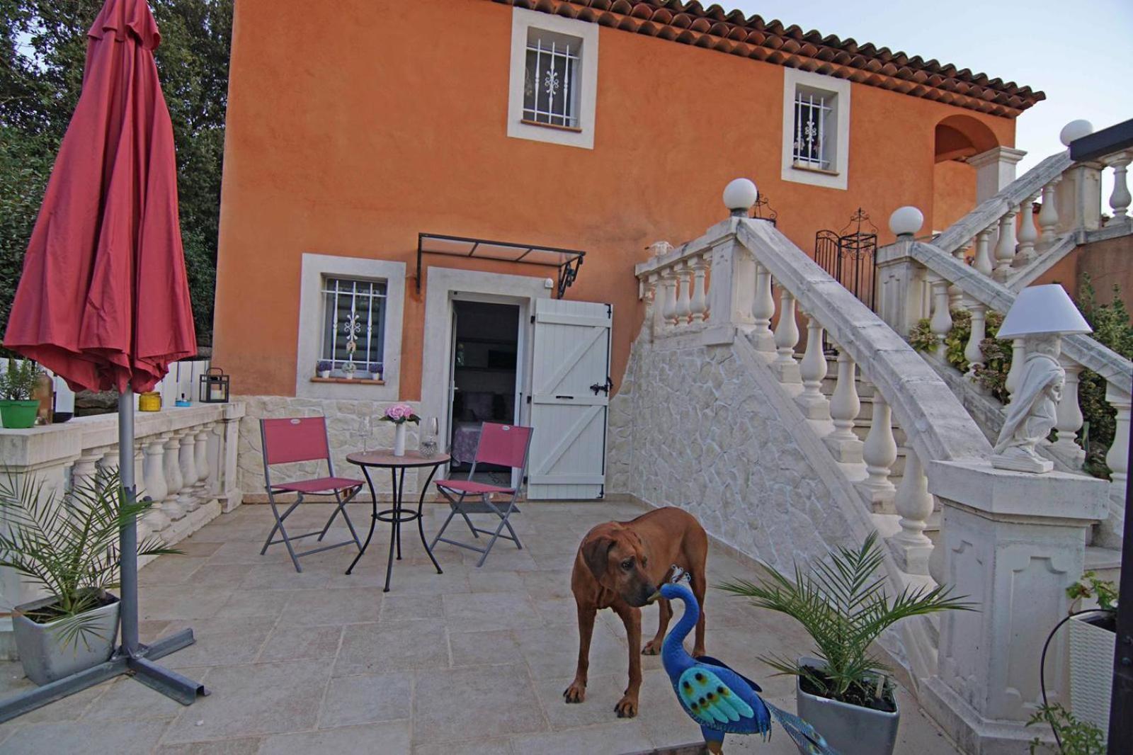 Chez Amali - Stielvolle Ferienwohnung In Der Provence Mit Terrasse Brignoles Exterior photo